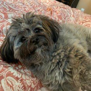 Meet your Posher, Max